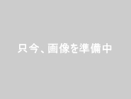 只今、画像を準備中です。ご迷惑をおかけしますが、もうしばらくお待ちください。